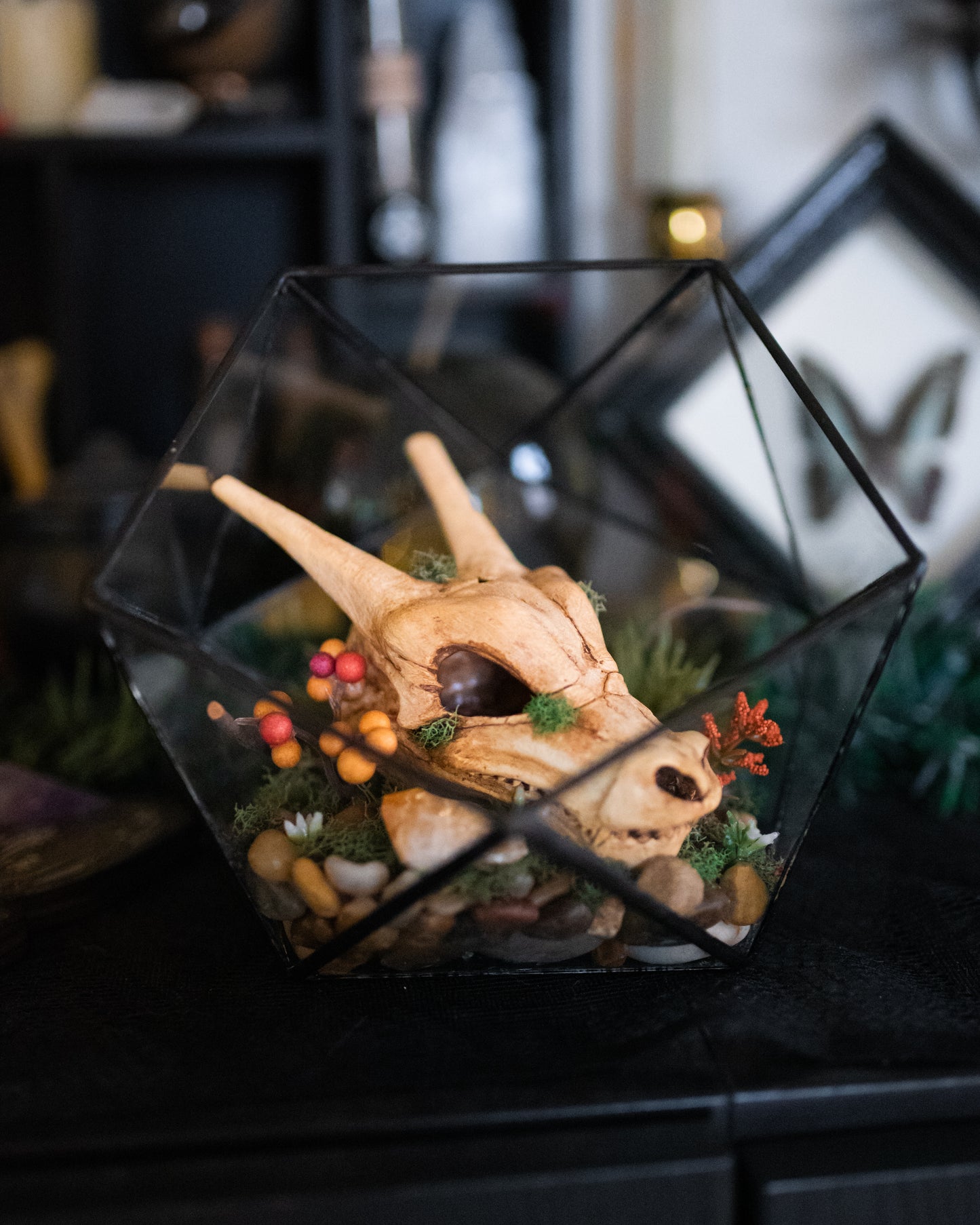 Charizard Skull Terrarium