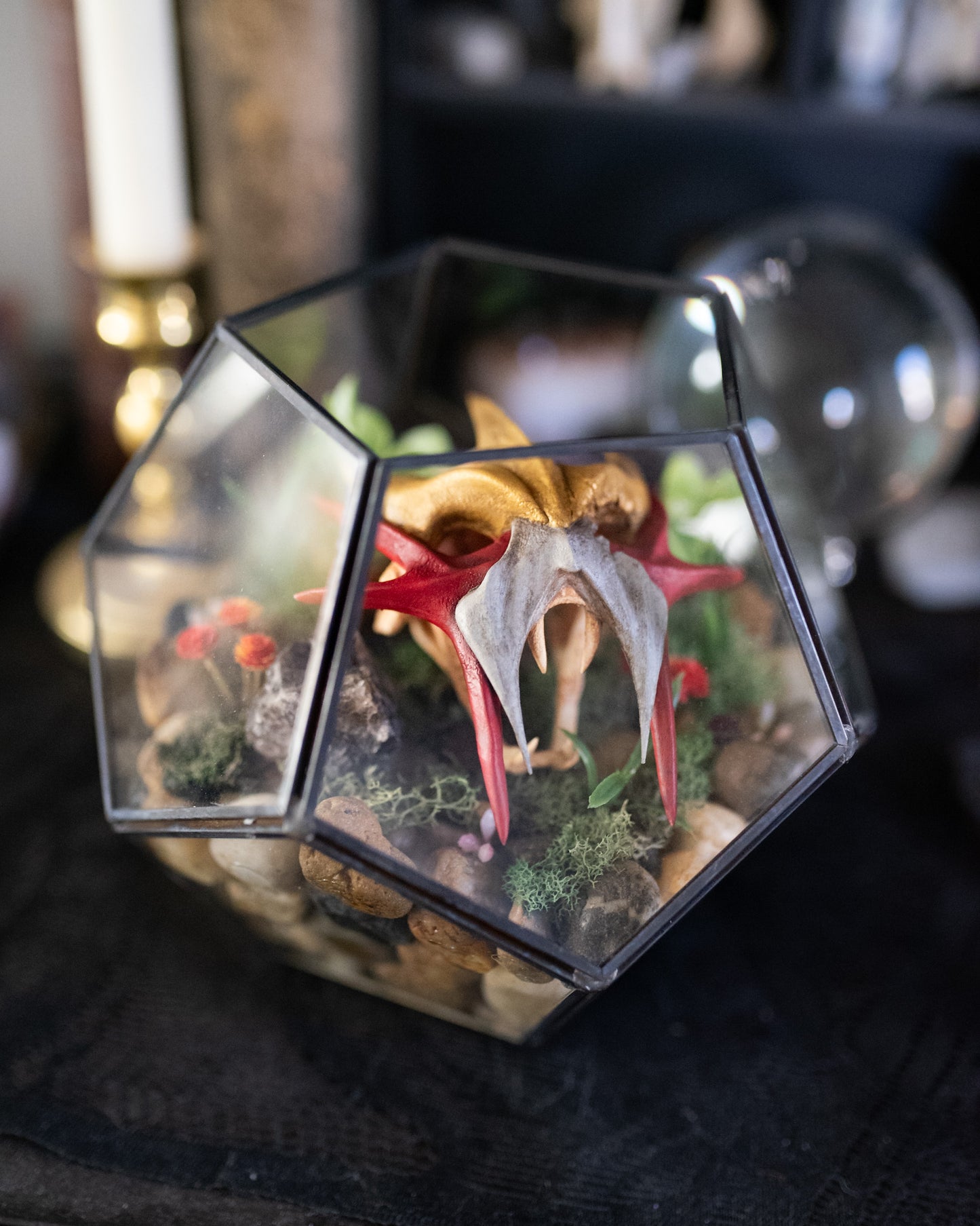 Entei Skull Terrarium