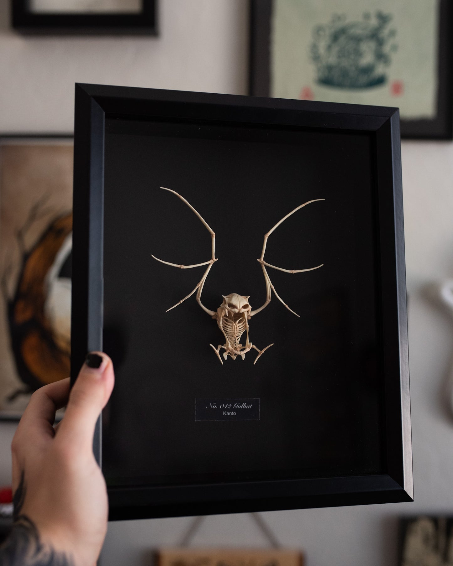 Golbat Pokemon Skeleton - 8 x 10