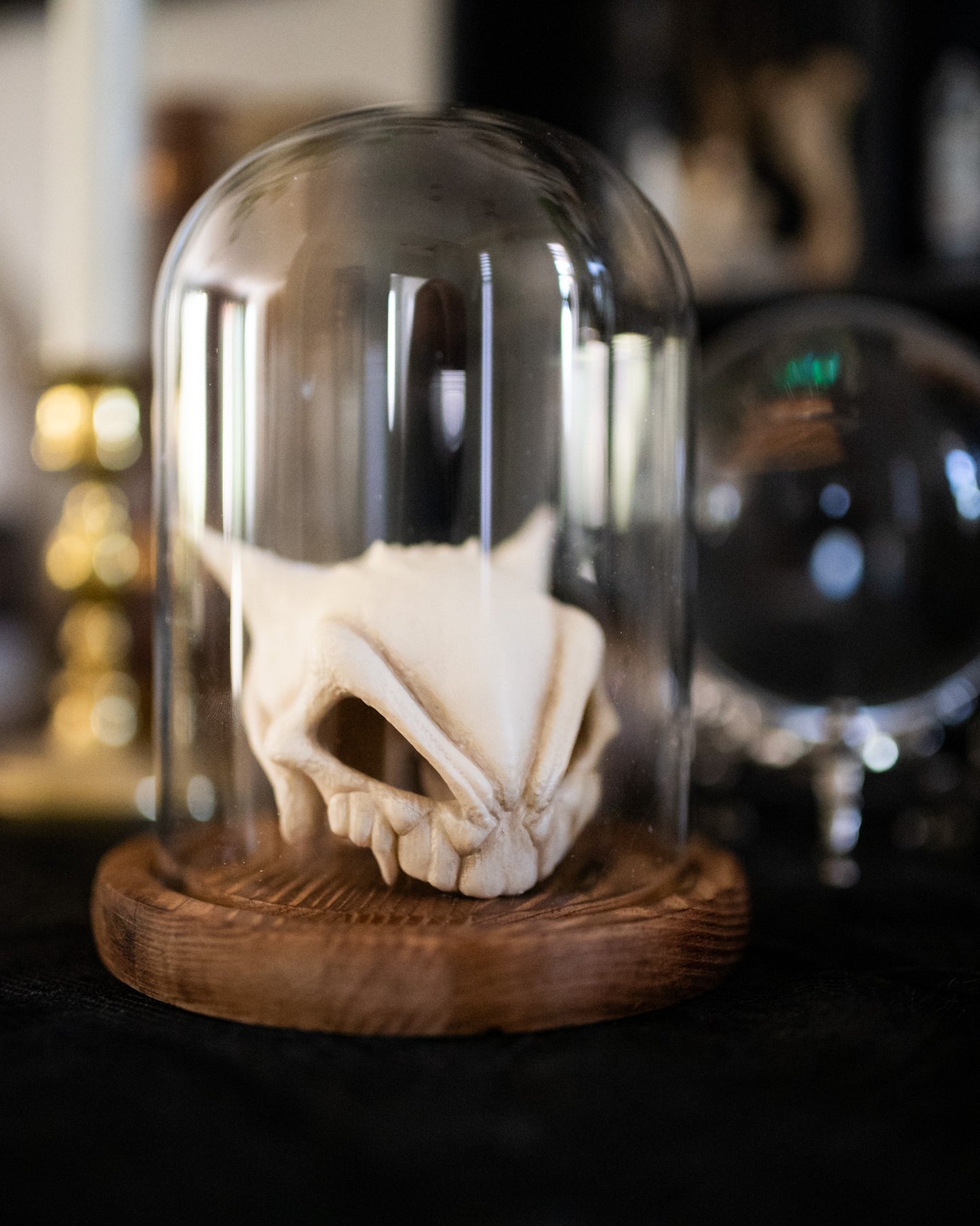Gengar Skull Pokémon Terrarium