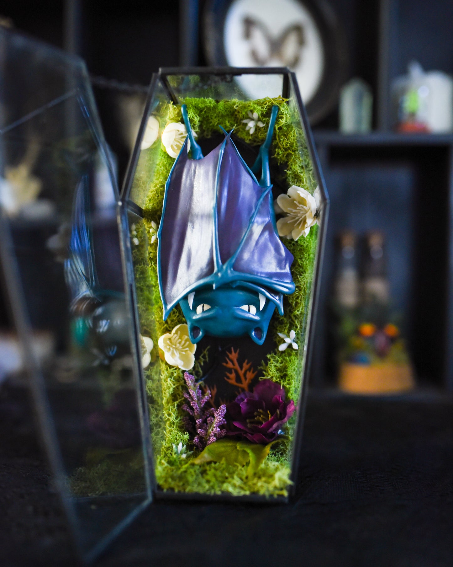 Golbat Coffin Terrarium