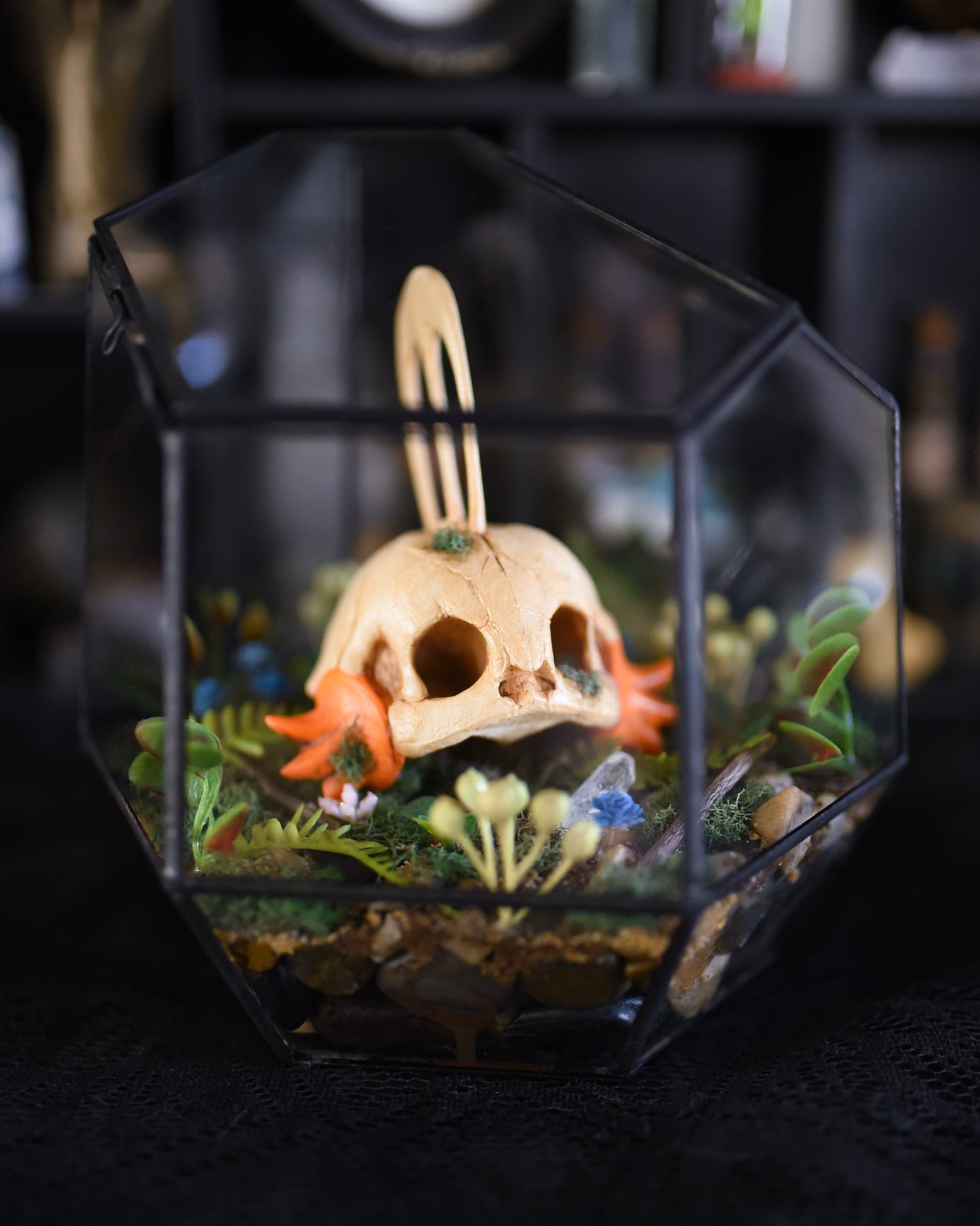 Mudkip Pokemon Skull Geometric Terrarium