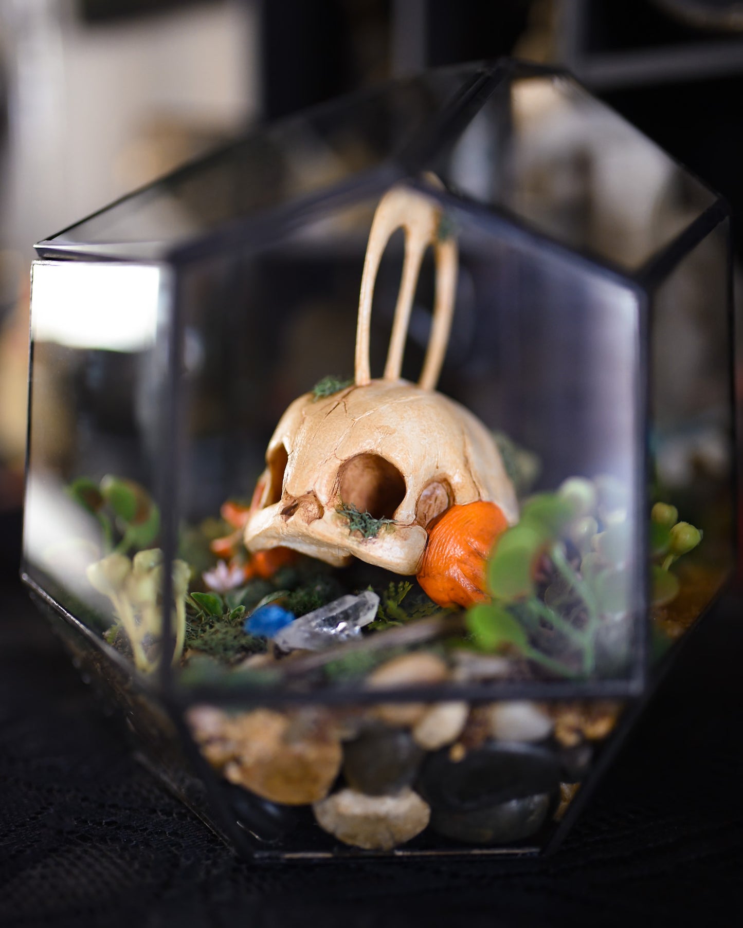 Mudkip Pokemon Skull Geometric Terrarium