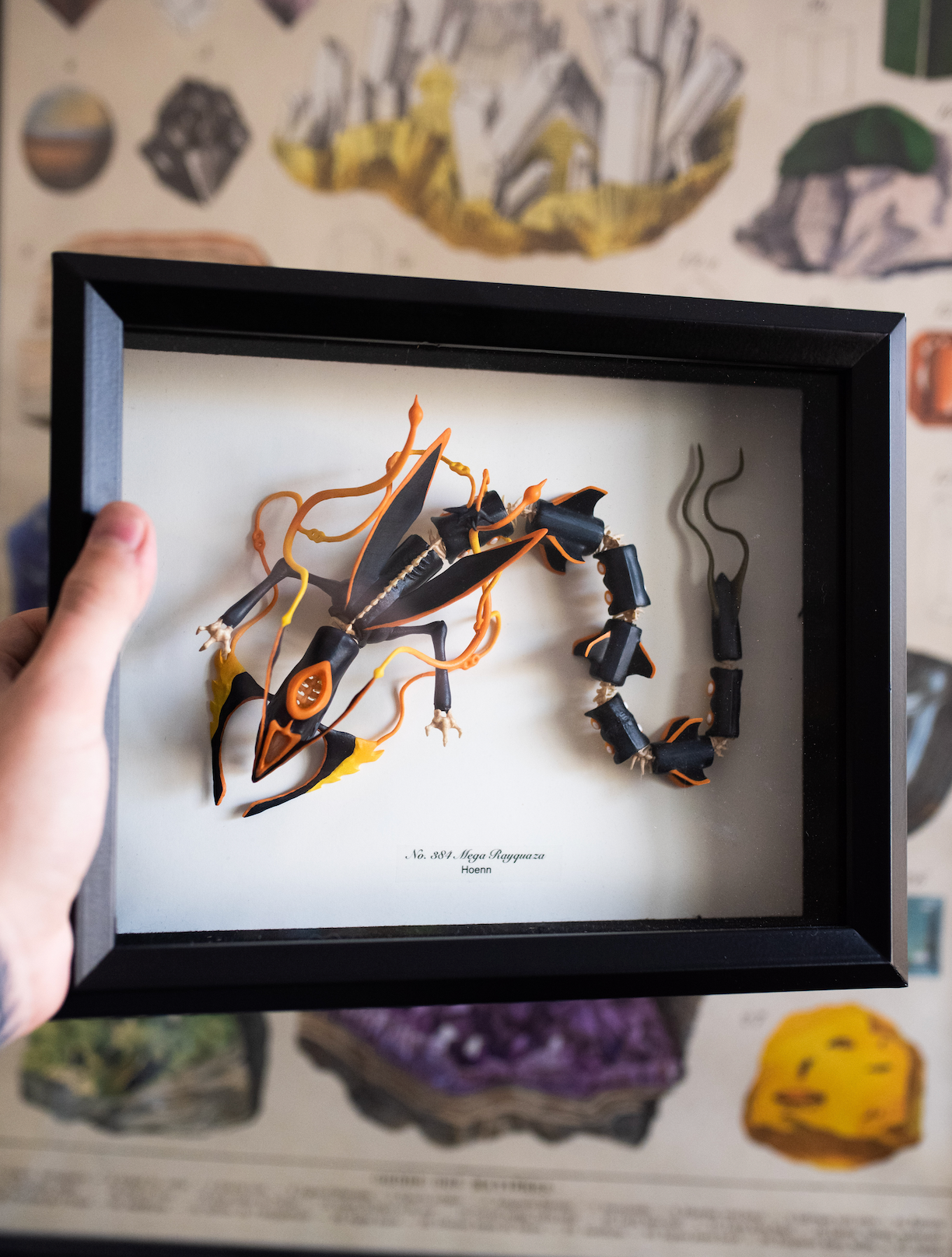 Shiny Mega Rayquaza Taxidermy - 8x10 Shadowbox