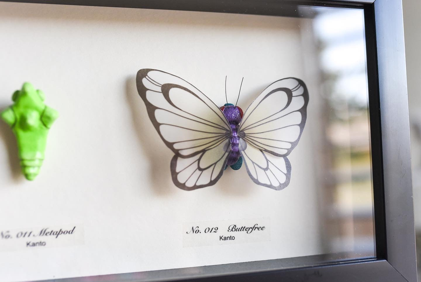 Butterfree Evolution Taxidermy - 15x7 Shadowbox