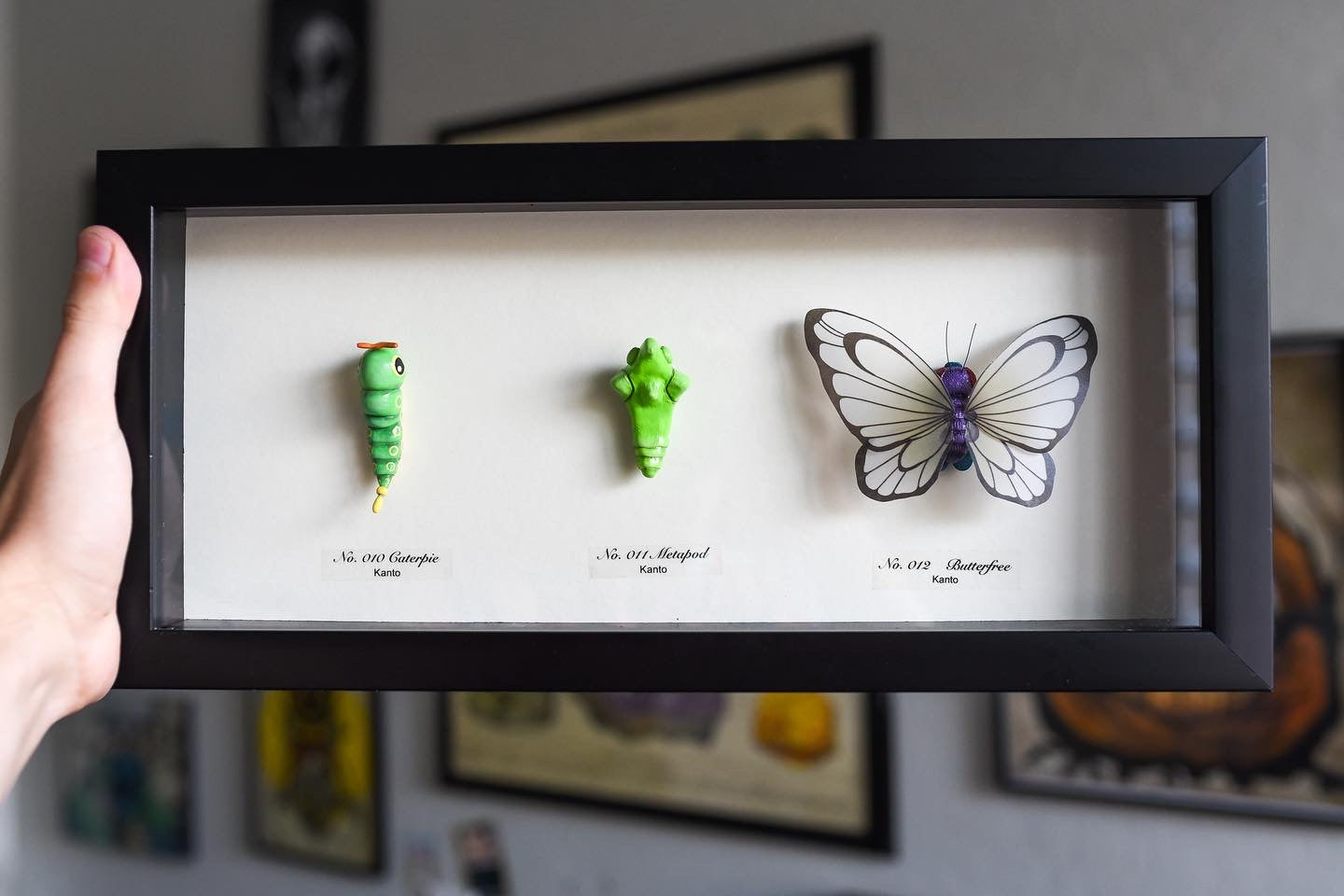 Butterfree Evolution Taxidermy - 15x7 Shadowbox