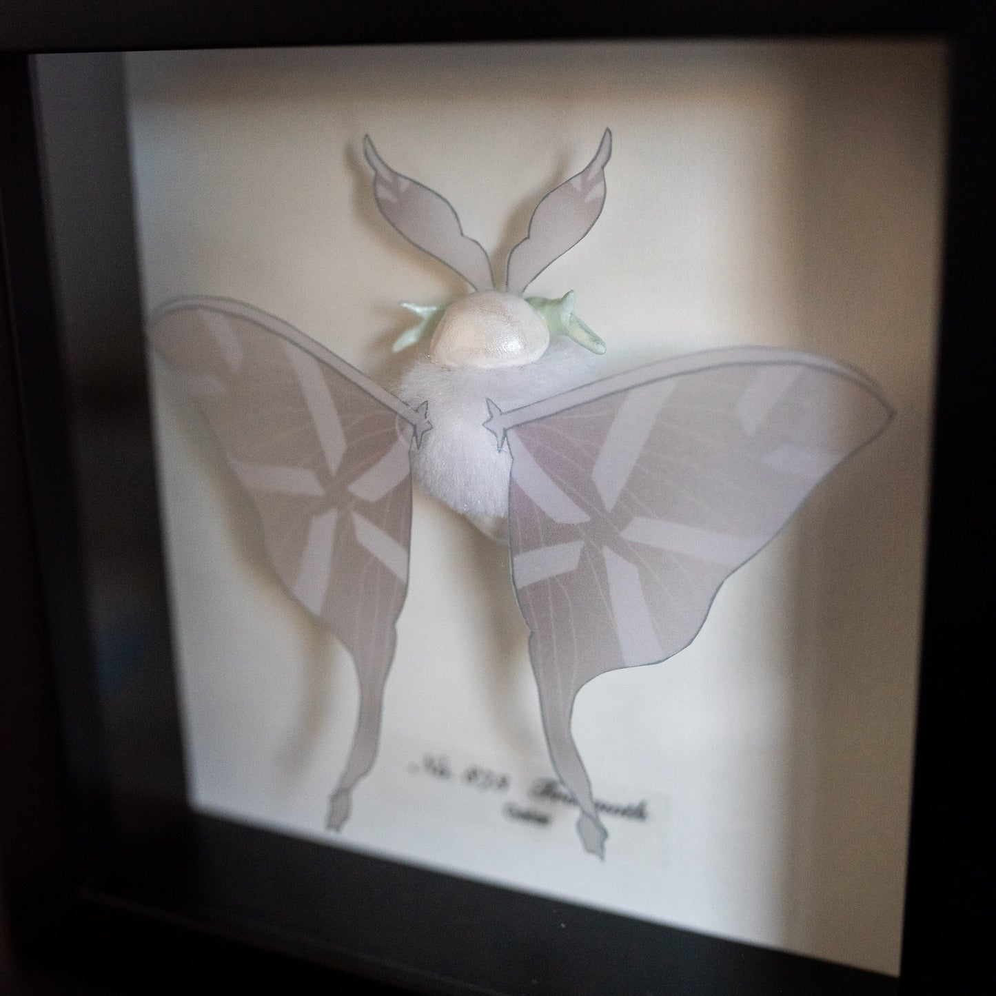 Frosmoth Pokémon Taxidermy - 6x6 Shadowbox