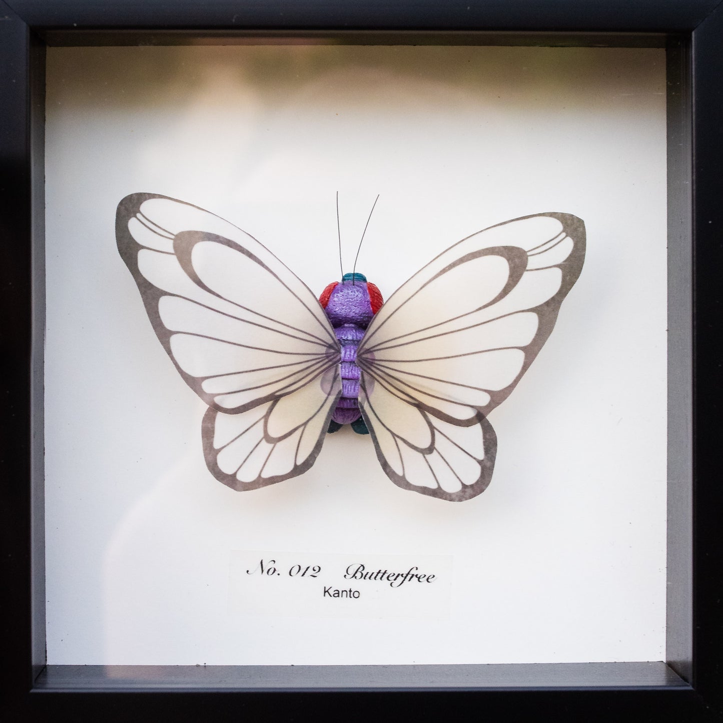 Butterfree Pokémon Taxidermy - 6x6 Shadowbox