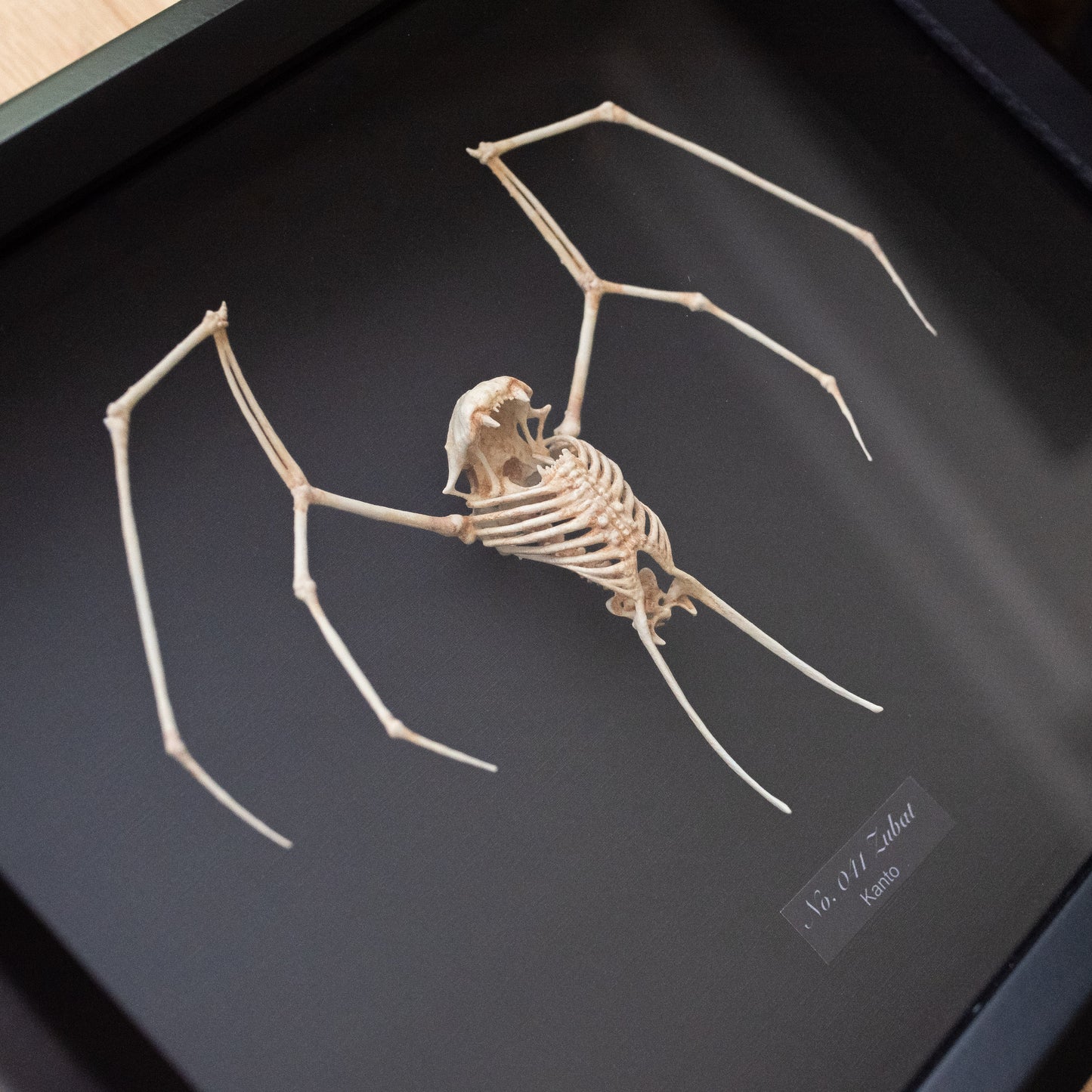 Zubat Skeleton Sculpture - Pokémon - 8x10 Shadowbox