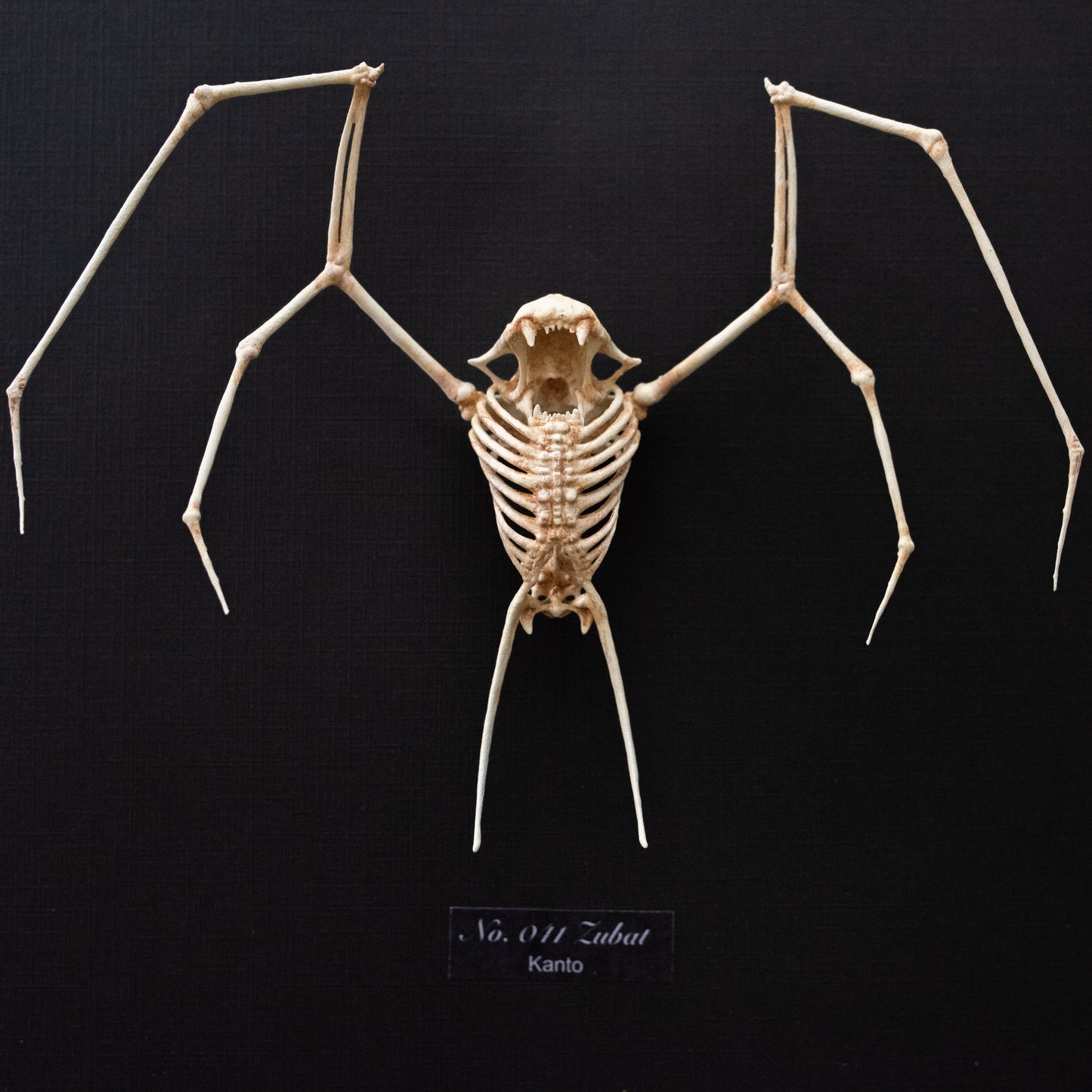 Zubat Skeleton Sculpture - Pokémon - 8x10 Shadowbox