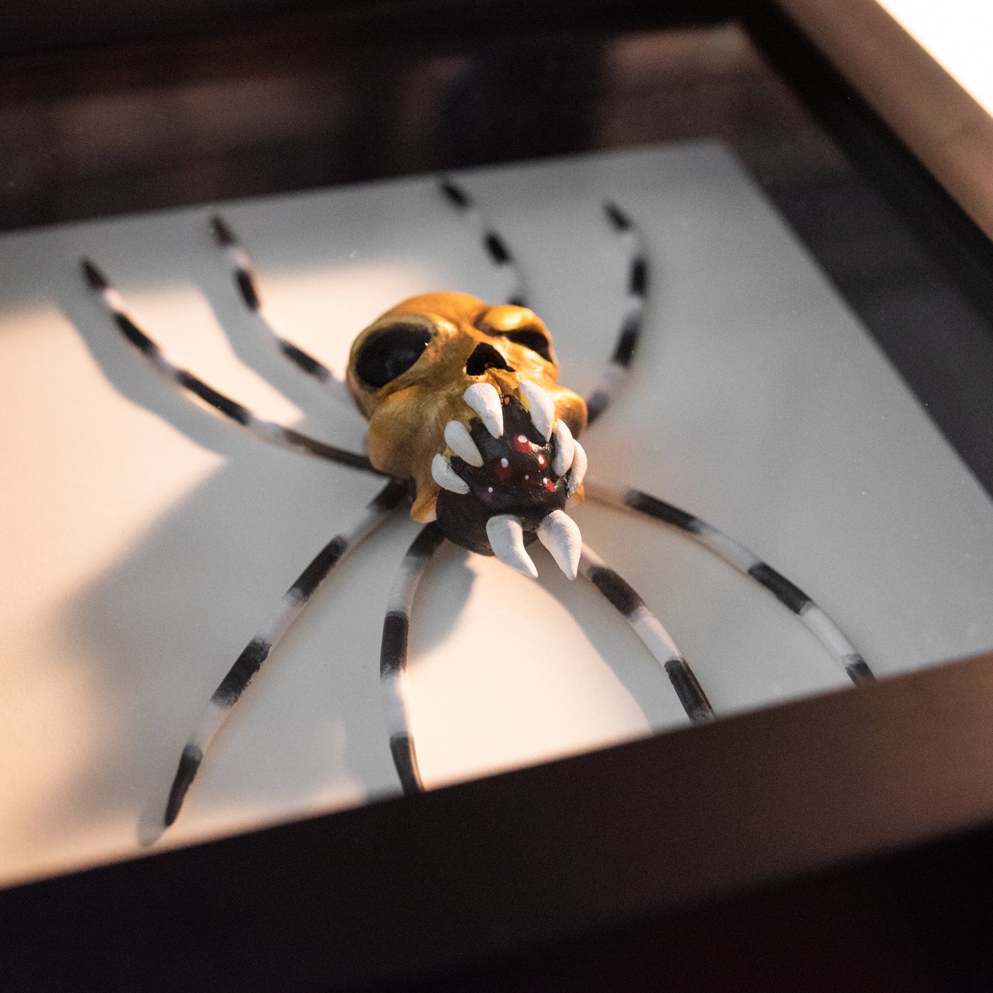 Skulltula - Legend of Zelda Taxidermy - 6x6 Shadowbox