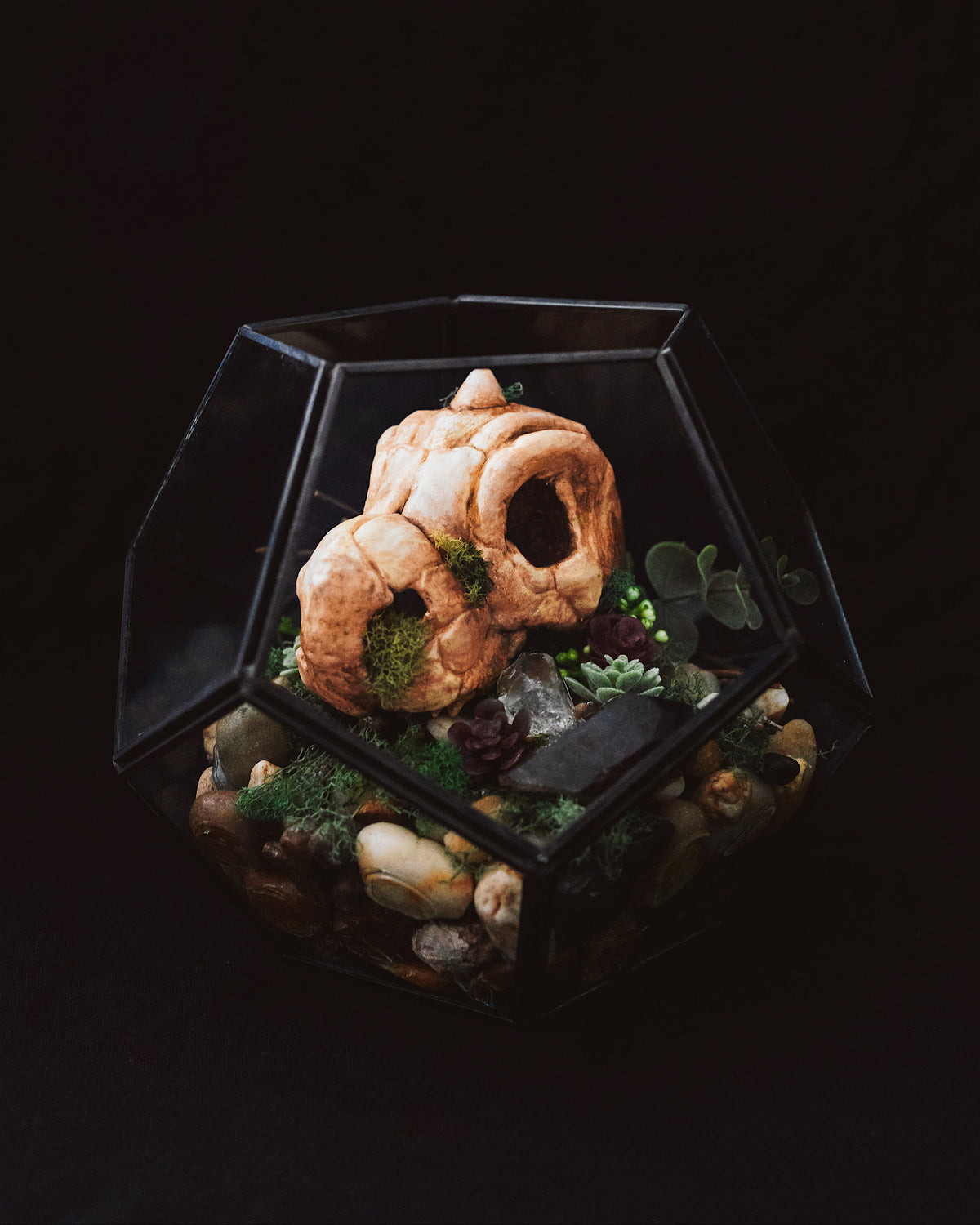 Dragonite Skull Geometric Terrarium