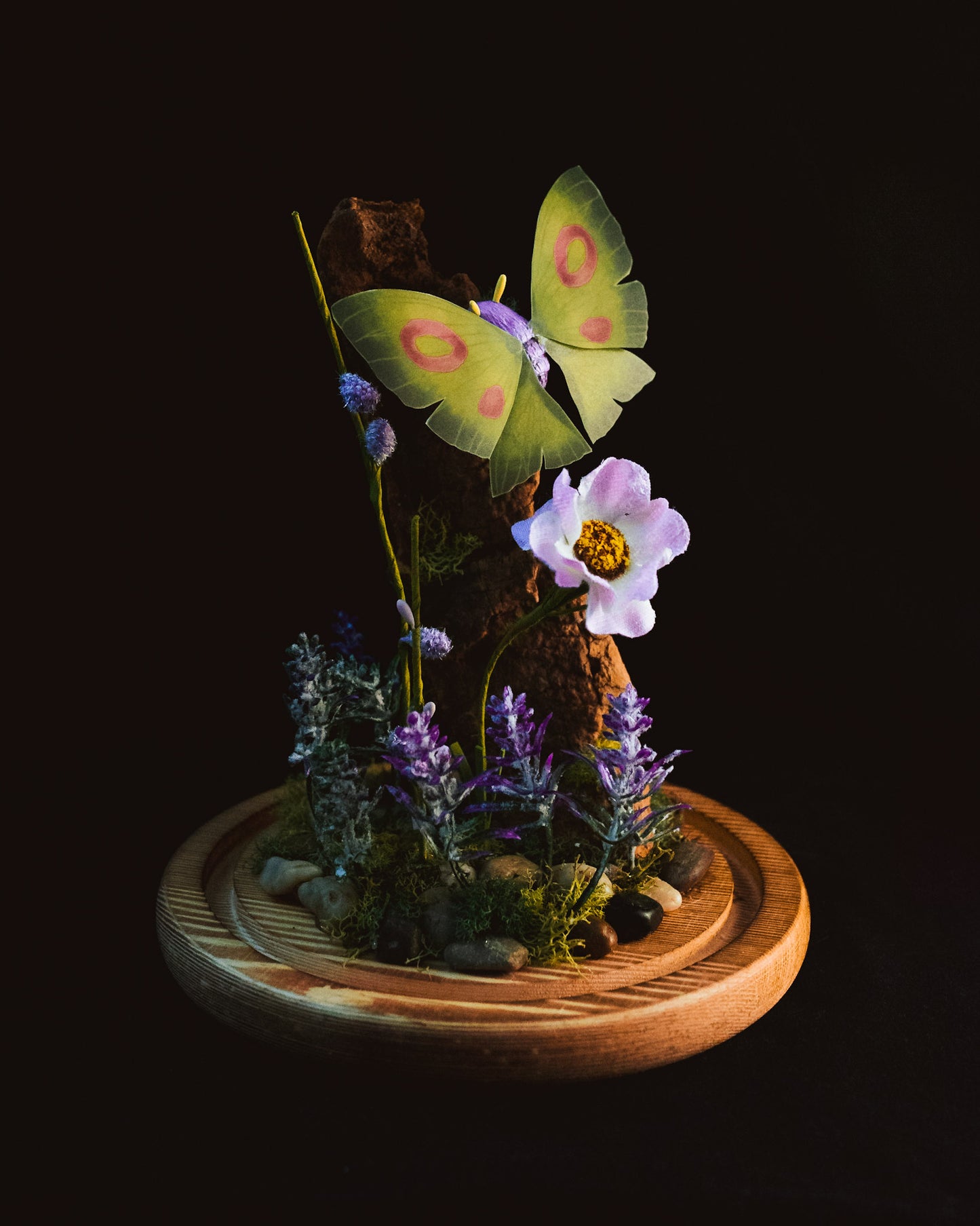 Dustox Pokémon Terrarium