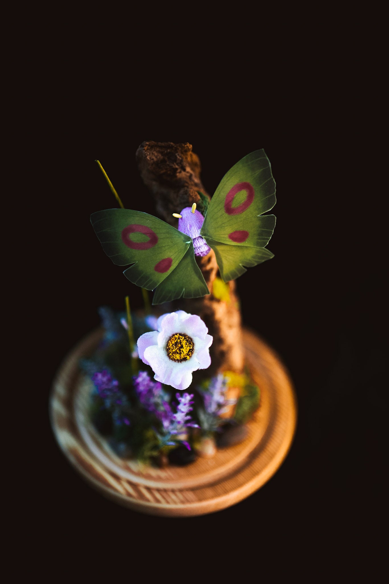 Dustox Pokémon Terrarium