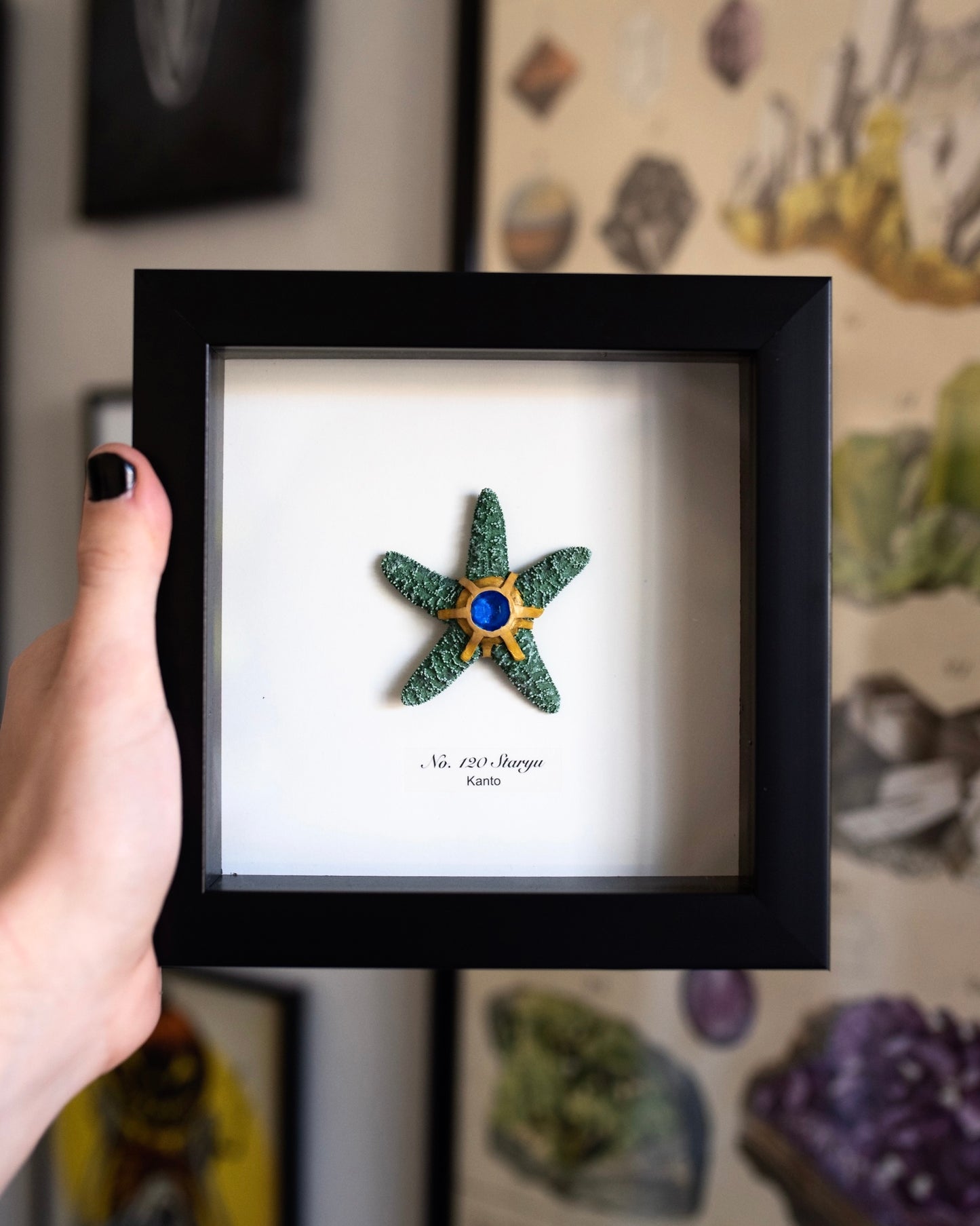 Staryu Pokémon Taxidermy - 6x6 Shadowbox