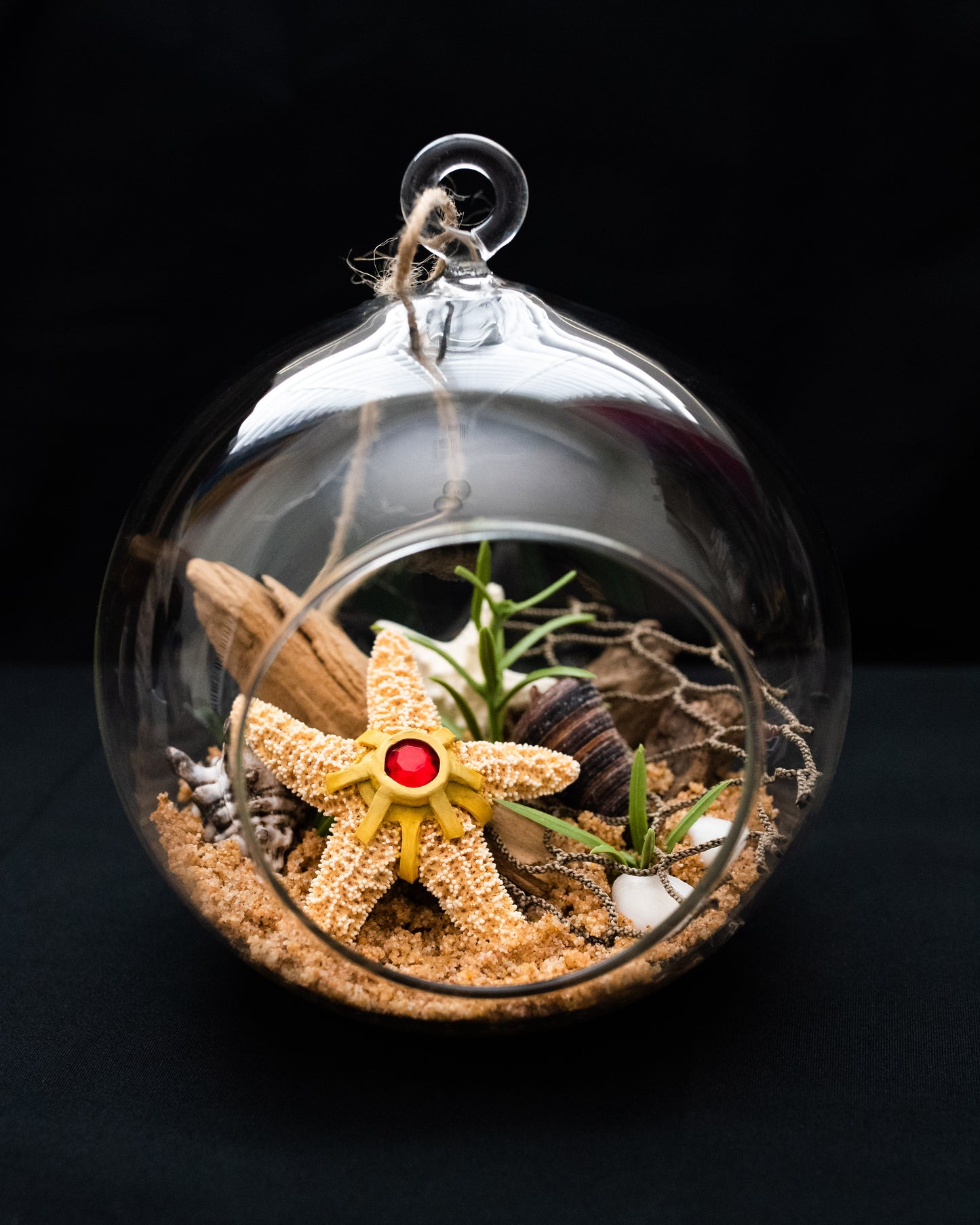 Staryu Pokémon Beach Terrarium