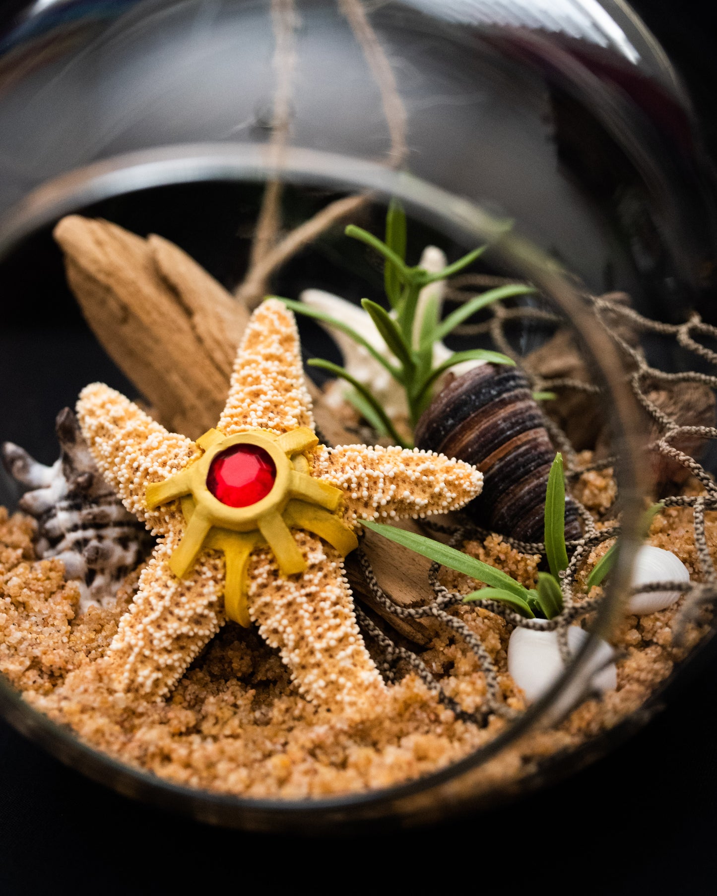 Staryu Pokémon Beach Terrarium