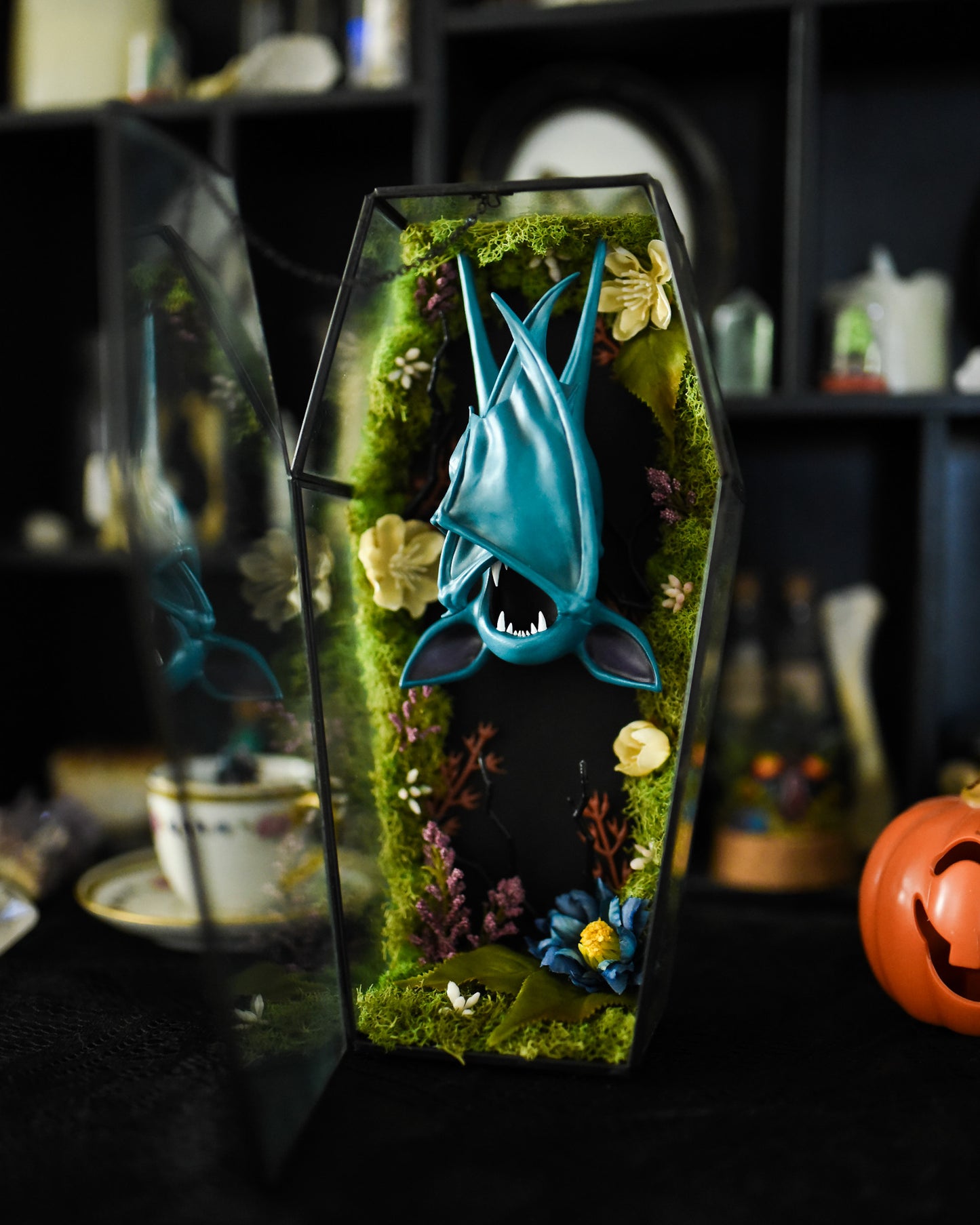 Zubat Coffin Terrarium