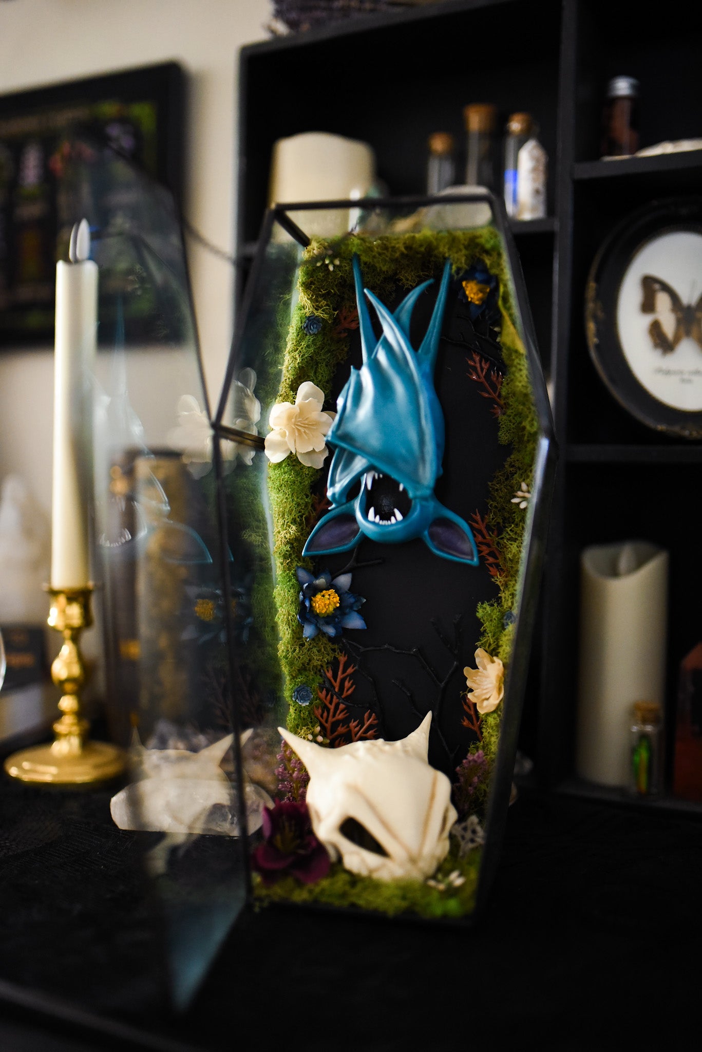 Zubat Coffin Terrarium