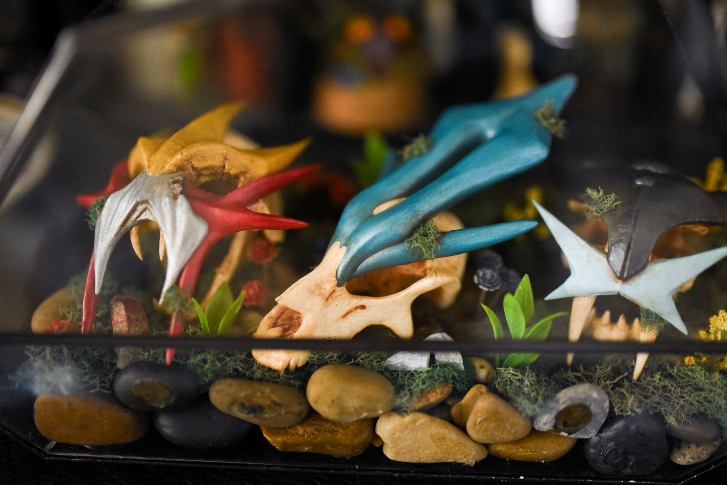 Legendary Beasts Pokemon Skulls Terrarium