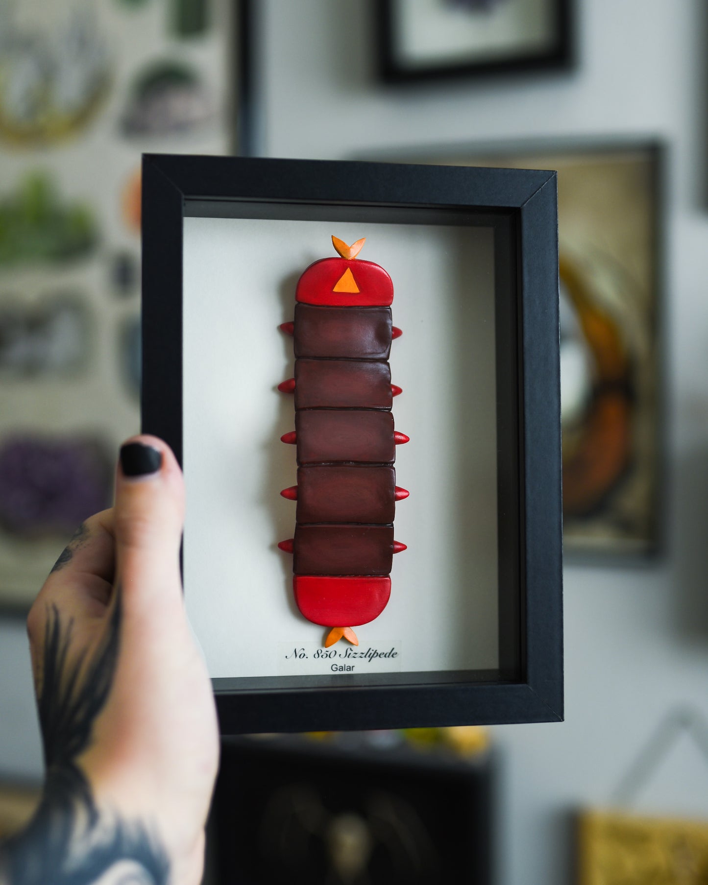 Sizzlipede Pokemon 5 x 7 Shadow Box