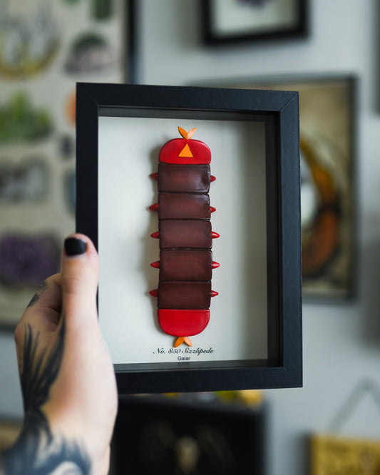 Sizzlipede Pokemon 5 x 7 Shadow Box