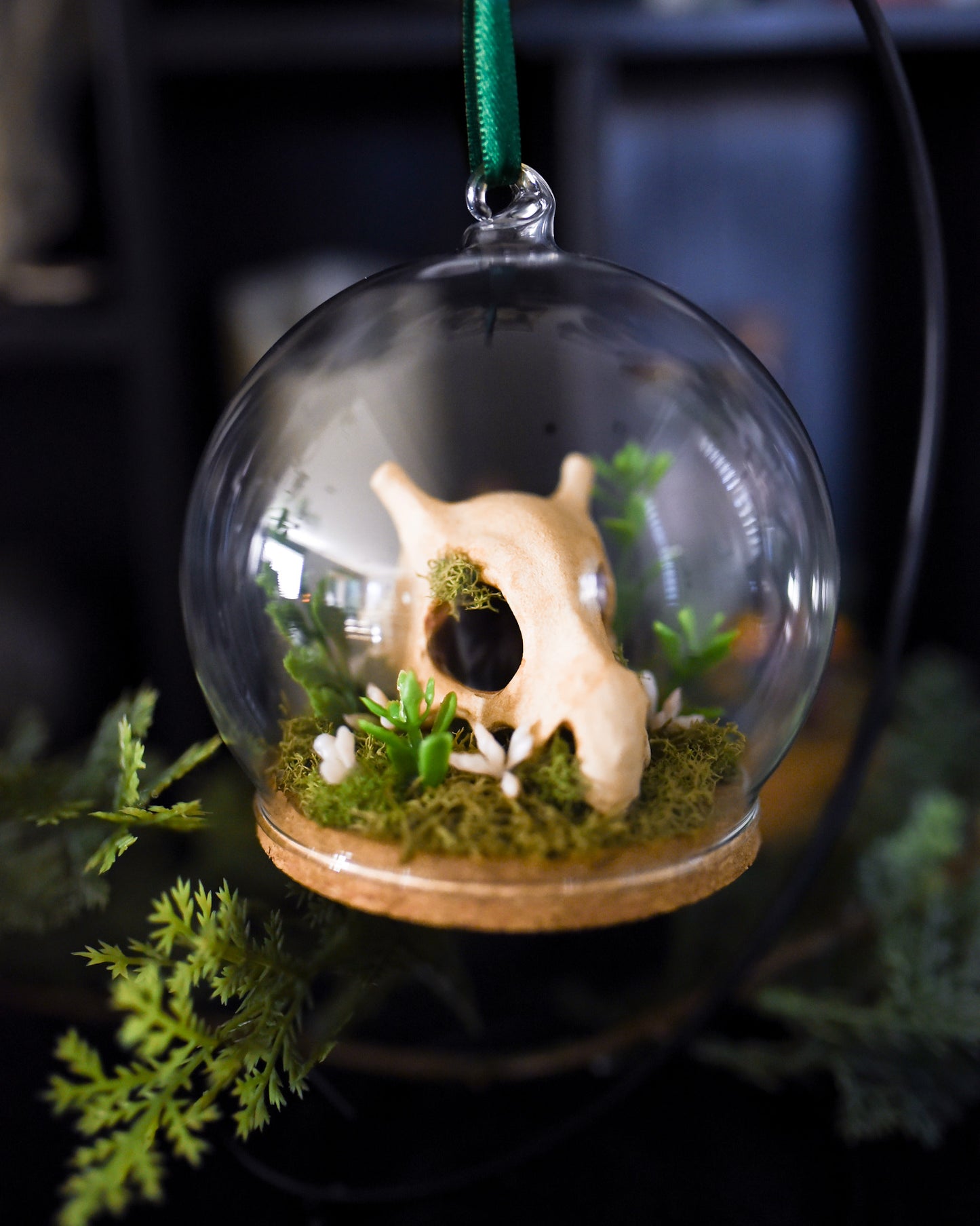 Medium Glass Dome Pokemon Skull Ornament