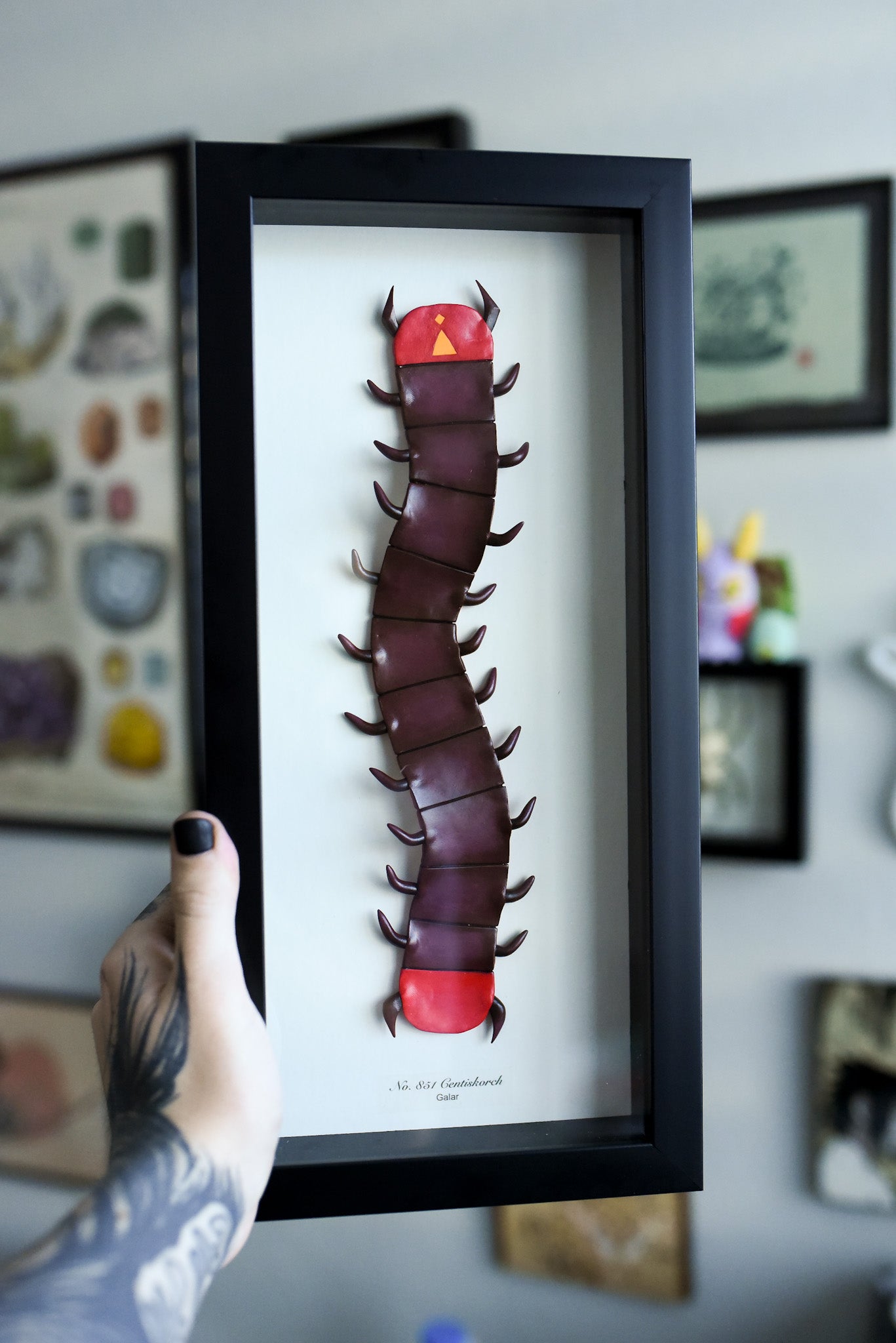 Centiskorch Pokemon 15 x 7  Shadow Box