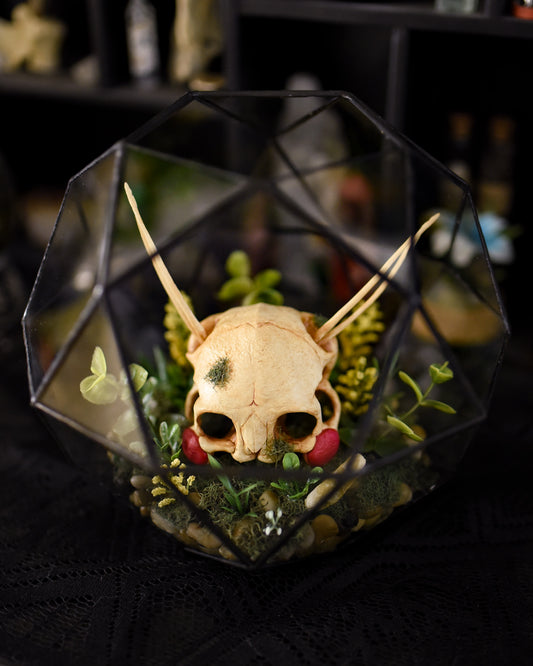 Pikachu Skull Pokemon Geometric Terrarium