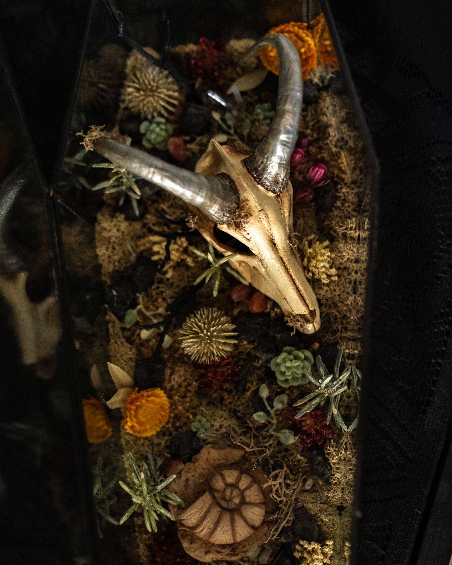 Houndoom Pokemon Skull Coffin Terrarium