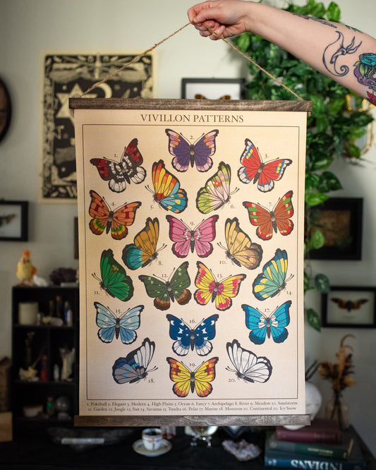 Vivillon Patterns Hanging Canvas Print