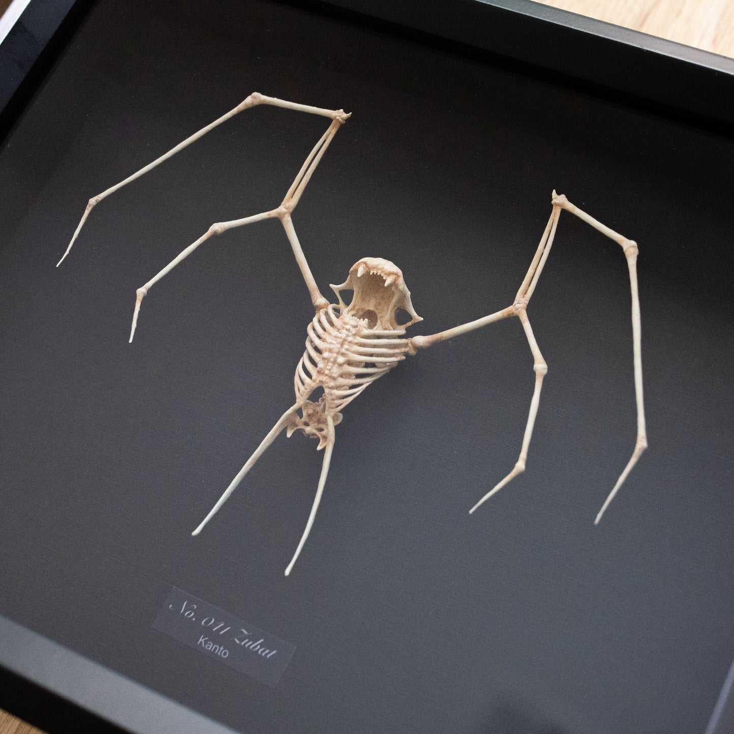 Zubat Skeleton Sculpture - Pokémon - 8x10 Shadowbox