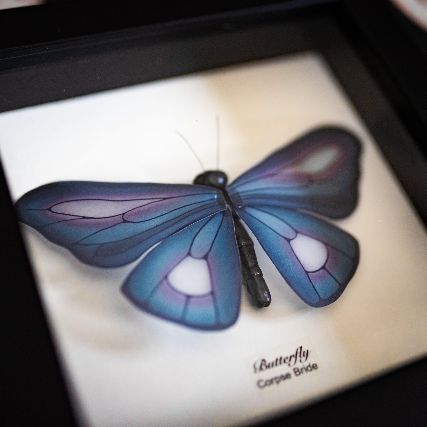Corpse Bride Butterfly Taxidermy - 6x6 Shadowbox [Vault Item]