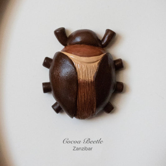 Cocoa Beetle - Coraline Taxidermy - 6x6 Shadowbox [Vault Item]